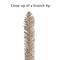 7ft. Pre-Lit Rose Gold Tinsel Artificial Christmas Tree, Clear Lights